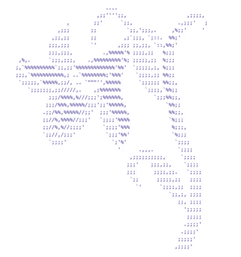 A single flower in ASCII linework