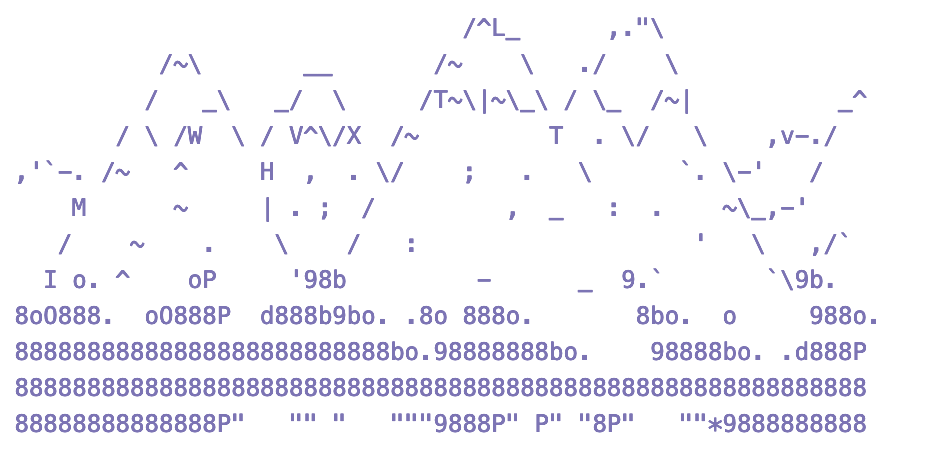 A mountain range drawn in terminal characters